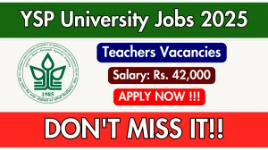 YSP University Teachers Recruitment 2025 – Walk in for 02 Posts