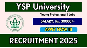 YSP University Young Professional I Recruitment 2025 – Walk in