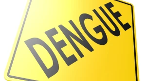 40 Dengue Cases Reported in Santokhgarh Town, Una