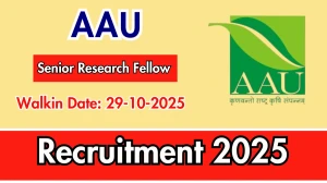 AAU Senior Research Fellow Recruitment 2025 – Walk in