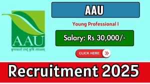 AAU Young Professional I Recruitment 2025 – Walk in