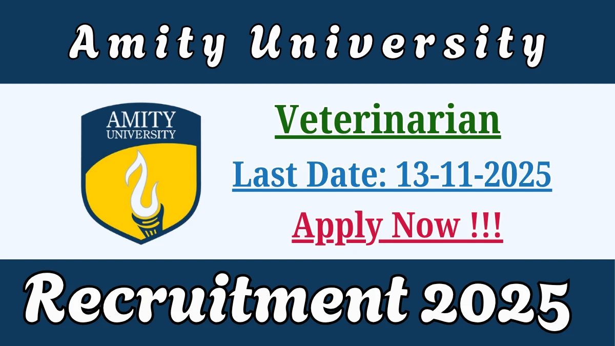 Amity University Veterinarian Recruitment 2025 - Apply Offline Amity University Veterinarian Recruitment 2025 - Apply Offline