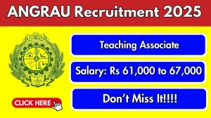 ANGRAU Teaching Associate Recruitment 2025 – Walk in ANGRAU Teaching Associate Recruitment 2025 – Walk in