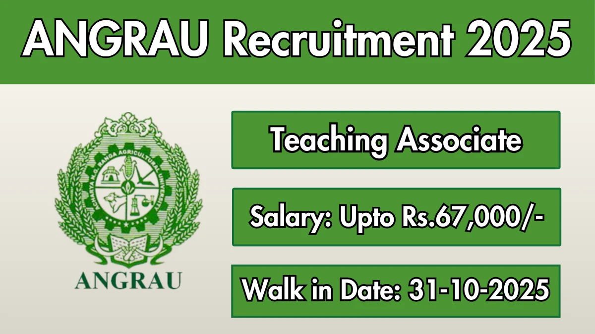ANGRAU Teaching Associate Recruitment 2025 – Walk in ANGRAU Teaching Associate Recruitment 2025 – Walk in