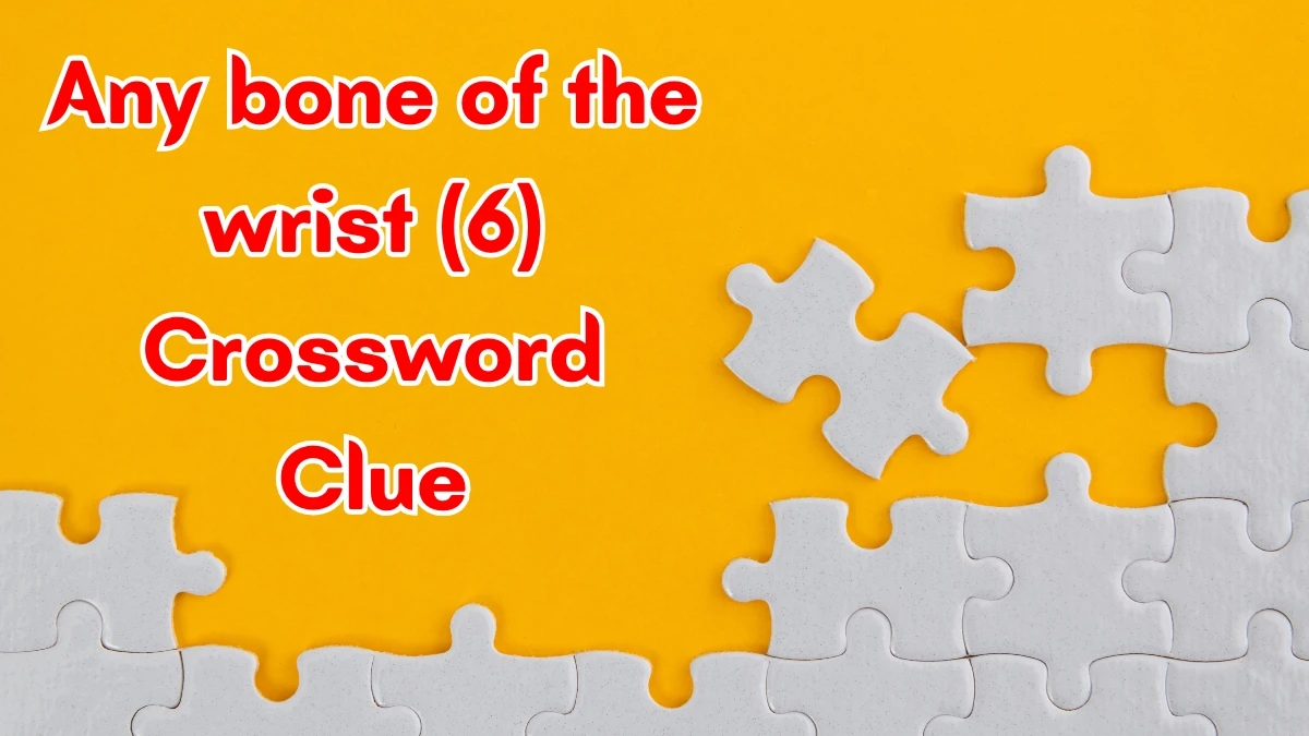 Any bone of the wrist Crossword Clue Irish Daily Mail Quick 6 letters Answer