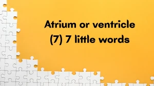 Atrium or ventricle 7 Little Words 7 letters Answer
