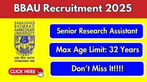 BBAU Senior Research Assistant Recruitment 2025 - Apply Offline BBAU Senior Research Assistant Recruitment 2025 - Apply Offline