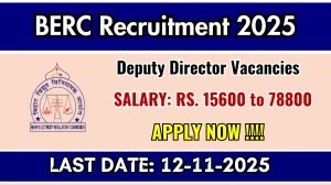 BERC Deputy Director Recruitment 2025 - Apply Offline BERC Deputy Director Recruitment 2025 - Apply Offline