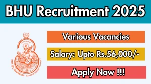 BHU Recruitment 2025 - Apply Offline for Project Research Scientist I, Senior Project Assistant and More Posts