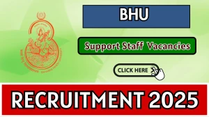 BHU Support Staff Recruitment 2025 - Apply Offline