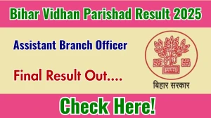 Bihar Vidhan Parishad ABO Final Result 2025 Out at vidhanparishad.bihar.gov.in, Direct Link to Download Result PDF Here Bihar Vidhan Parishad ABO Final Result 2025 Out at vidhanparishad.bihar.gov.in, Direct Link to Download Result PDF Here