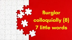 Burglar colloquially 7 Little Words 8 letters Answer