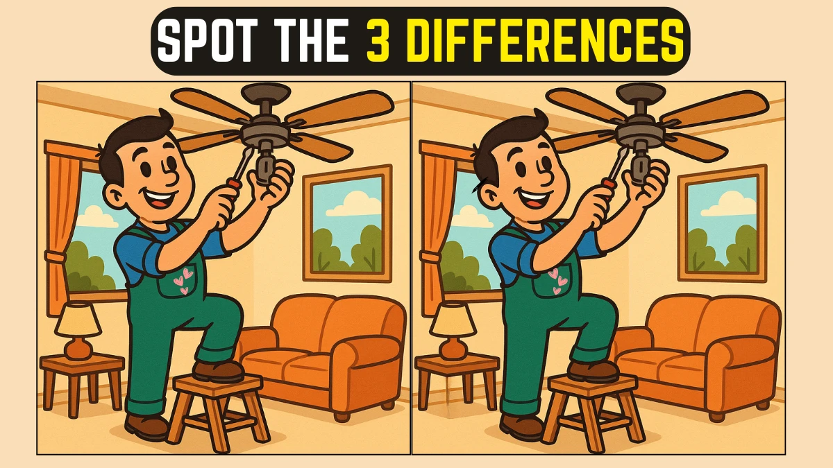 Can You Beat the Clock? Spot 3 Differences in this Man Repairing a Fan Image in 10 Seconds!