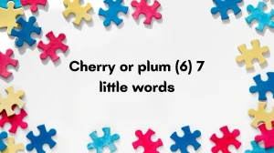 Cherry or plum 7 Little Words 6 letters Answer