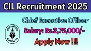 CIL Chief Executive Officer Recruitment 2025 - Apply Online for 01 Posts