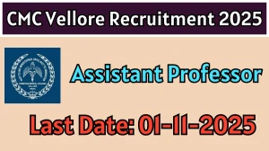 CMC Vellore Assistant Professor Recruitment 2025 - Apply Online CMC Vellore Assistant Professor Recruitment 2025 - Apply Online