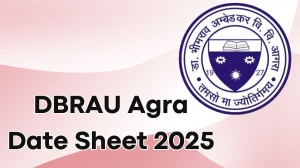 DBRAU Agra Date Sheet 2025 Out for UG Course @ dbrau.ac.in Details Here DBRAU Agra Date Sheet 2025 Out for UG Course @ dbrau.ac.in Details Here
