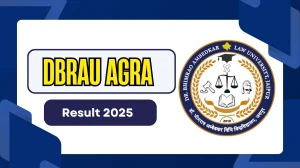 DBRAU Agra Result 2025 Out at dbrau.ac.in Direct Link to Download 1st, 2nd, 3rd, 4th, 6th, 8th Sem Result