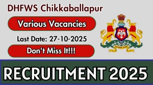 DHFWS Chikkaballapur Recruitment 2025 - Apply Online for 51 Staff Nurse, Pediatrician and More Posts