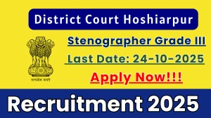 District Court Hoshiarpur Stenographer Grade III Recruitment 2025 - Apply Offline for 10 Posts
