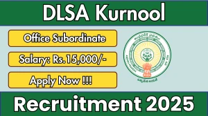 DLSA Kurnool Office Subordinate Recruitment 2025 - Apply Offline