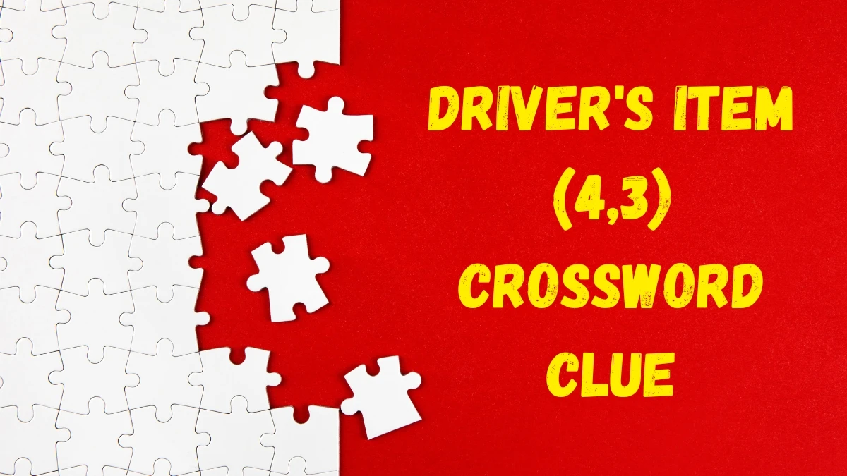 Driver's item Crossword Clue Irish Daily Mail Quick (4,3) letters Answer