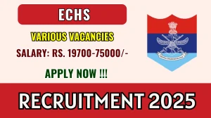 ECHS Recruitment 2025 - Apply Offline for 03 Medical Officer, Driver and More Posts ECHS Recruitment 2025 - Apply Offline for 03 Medical Officer, Driver and More Posts