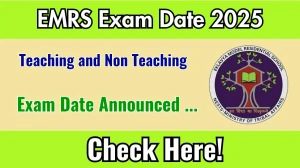EMRS Exam Date 2025 Announced for Teaching & Non-Teaching Posts – Check Details at nests.tribal.gov.in EMRS Exam Date 2025 Announced for Teaching & Non-Teaching Posts – Check Details at nests.tribal.gov.in