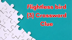 Flightless bird Crossword Clue Irish Daily Mail Quick 3 letters Answer