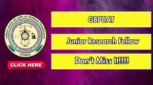 GBPUAT Junior Research Fellow Recruitment 2025 - Apply Offline for 01 Posts GBPUAT Junior Research Fellow Recruitment 2025 - Apply Offline for 01 Posts