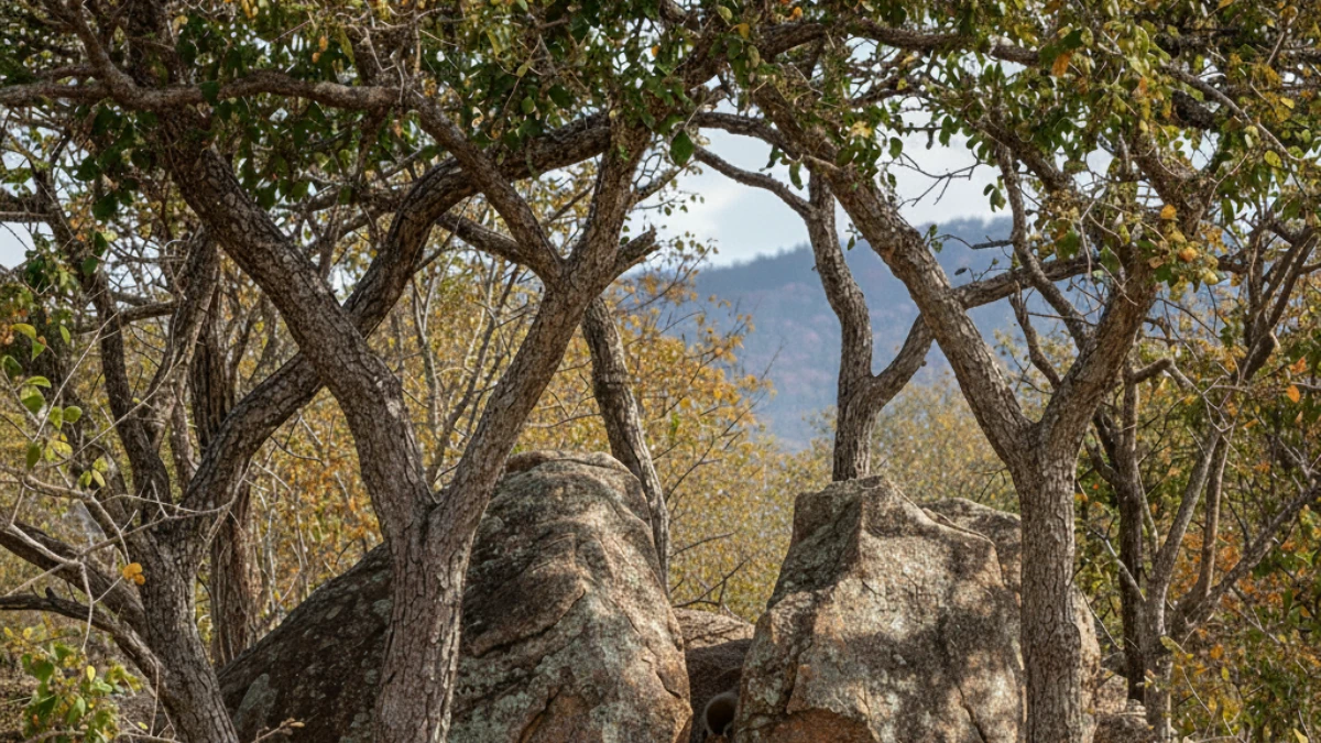 Gemini AI Optical Illusion Visual Test: Can You Spot the Hidden Squirrel in Under 6 Seconds? Challenge Yourself with This Forest Puzzle! Gemini AI Optical Illusion Visual Test: Can You Spot the Hidden Squirrel in Under 6 Seconds? Challenge Yourself with This Forest Puzzle!