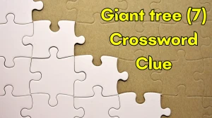 Giant tree Crossword Clue Irish Daily Mail Quick 7 letters Answer