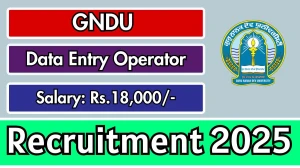 GNDU Data Entry Operator Recruitment 2025 - Apply Offline