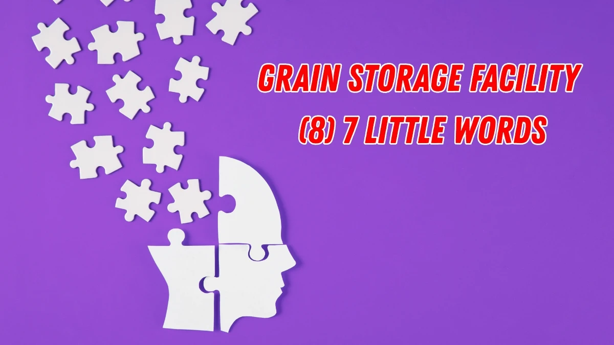 Grain storage facility 7 Little Words 8 letters Answer