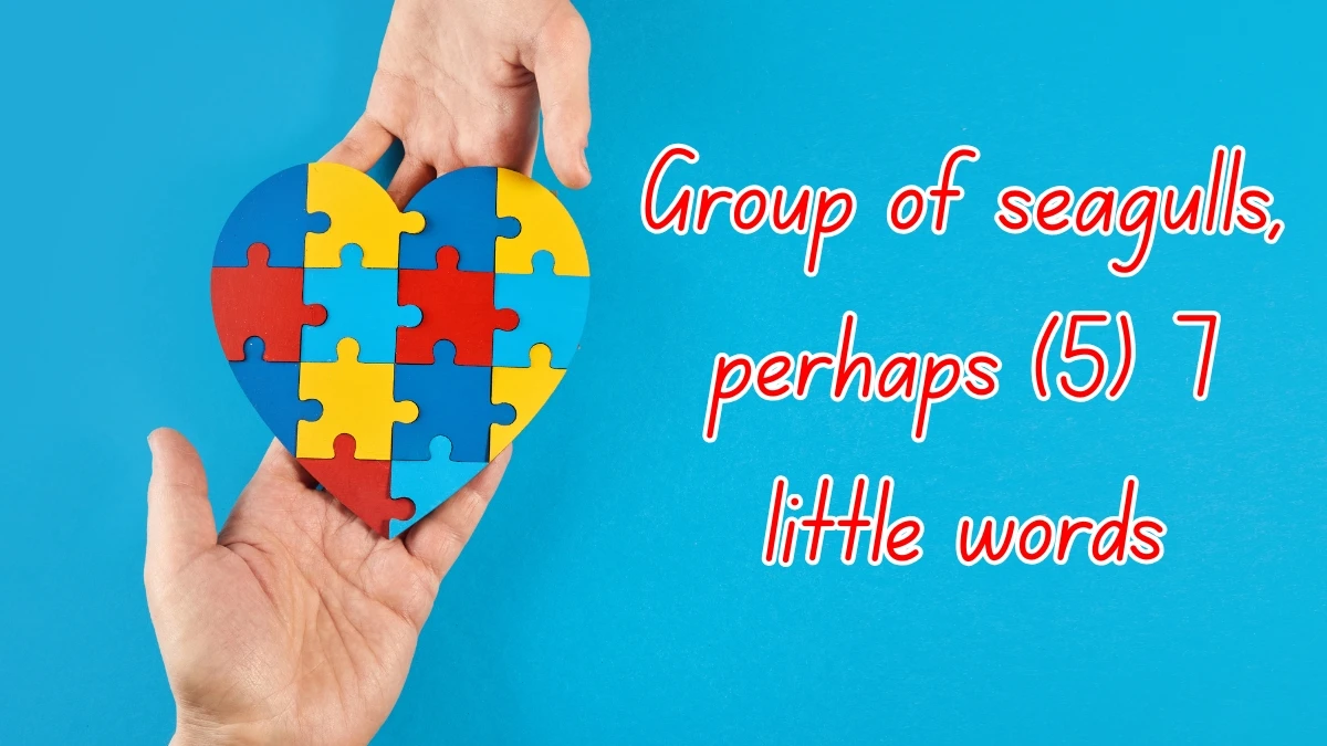 Group of seagulls, perhaps 7 Little Words 5 letters Answer