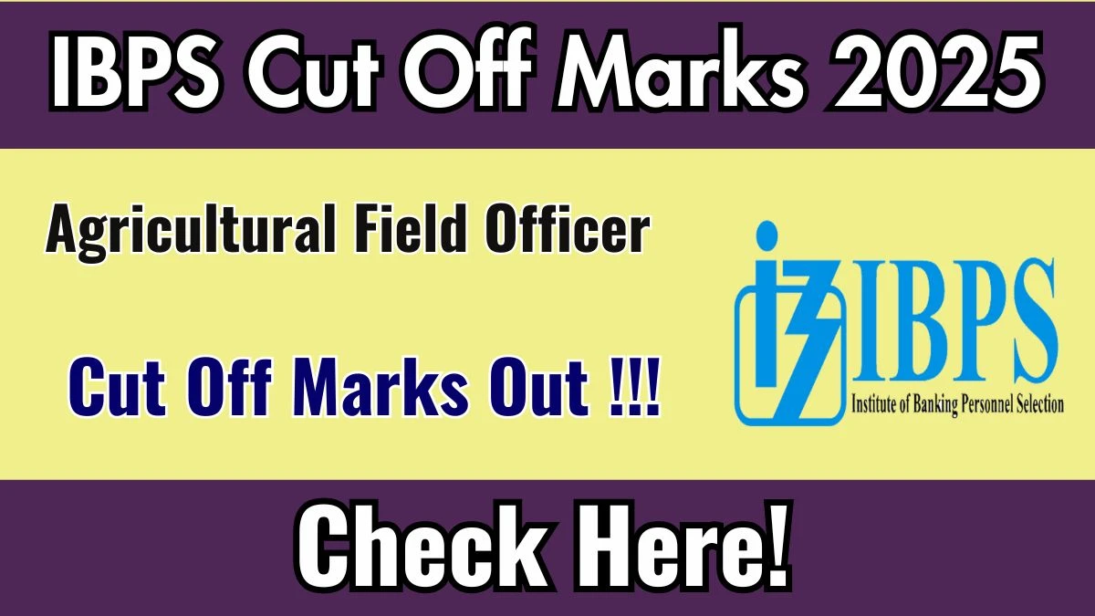 IBPS AFO Prelims Cut Off Marks 2025 Released – Check Category-Wise Cut Off at ibps.in