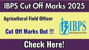 IBPS AFO Prelims Cut Off Marks 2025 Released – Check Category-Wise Cut Off at ibps.in IBPS AFO Prelims Cut Off Marks 2025 Released – Check Category-Wise Cut Off at ibps.in