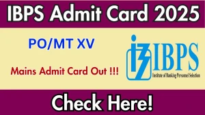 IBPS PO/MT XV Mains Admit Card 2025 OUT Download Hall Ticket at ibps.in