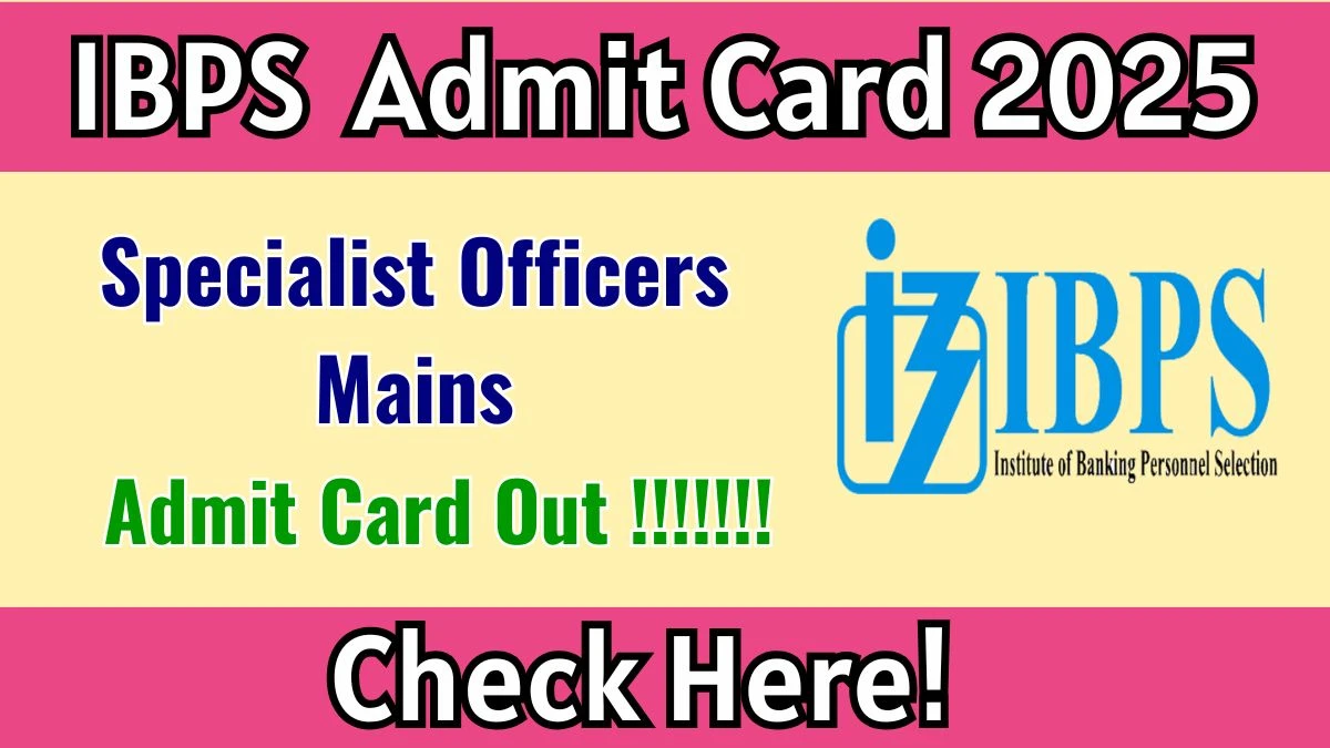 IBPS SO Mains Admit Card 2025 OUT Download Link ibps.in