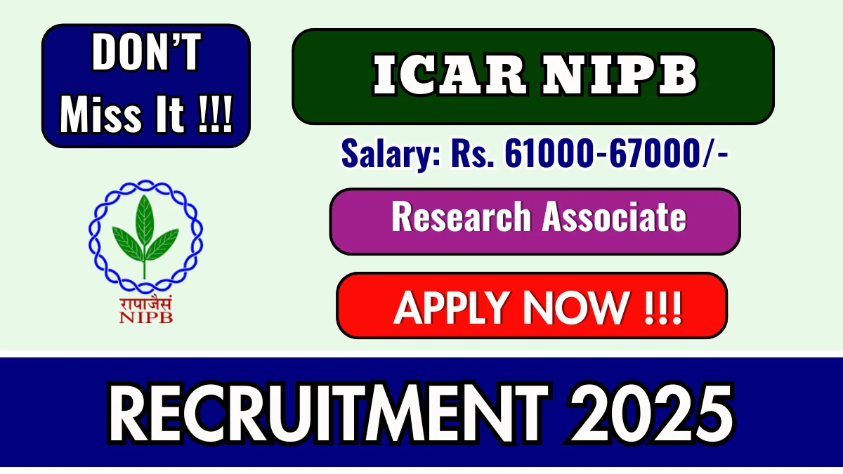 ICAR NIPB Research Associate Recruitment 2025 – Walk in for 01 Posts ICAR NIPB Research Associate Recruitment 2025 – Walk in for 01 Posts