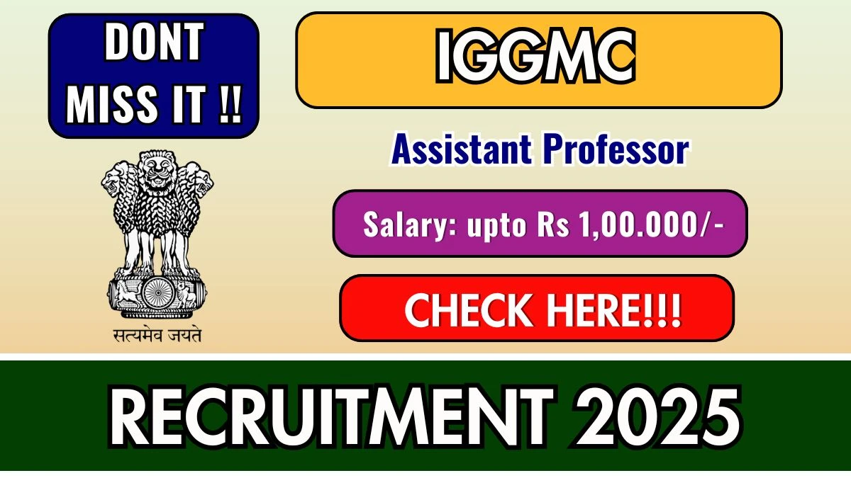 IGGMC Assistant Professor Recruitment 2025 - Apply Offline IGGMC Assistant Professor Recruitment 2025 - Apply Offline