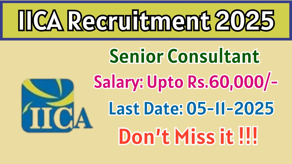 IICA Senior Consultant Recruitment 2025 - Apply Offline