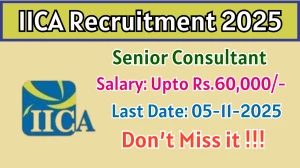 IICA Senior Consultant Recruitment 2025 - Apply Offline