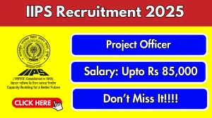 IIPS Recruitment 2025: Apply Online for 07 Sr Project Officer & Project Officer Posts