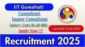 IIT Guwahati Recruitment 2025 - Apply Offline for 04 Consultant, Junior Consultant Posts