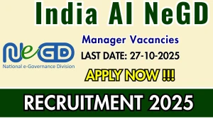 India AI NeGD Manager Recruitment 2025 - Apply Online for 01 Posts