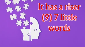 It has a riser 7 Little Words 9 letters Answer