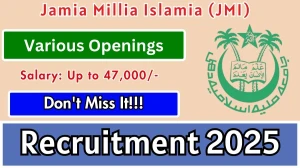 JMI Recruitment 2025 - Apply Offline for 2  Research Associate, JRF Posts