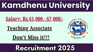Kamdhenu University Teaching Associate Recruitment 2025 - Apply Offline