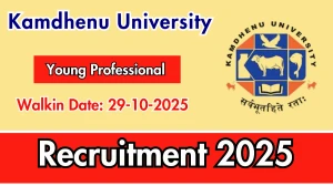 Kamdhenu University Young Professional Recruitment 2025 – Walk in